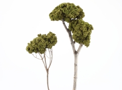 Follaje para árboles verde claro (Bolsa 12 gr.)