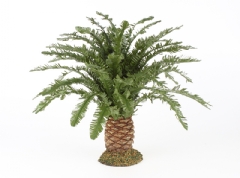 Ver Ficha de Palmera baja (28 cm.)